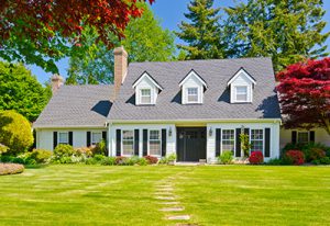 Atlas Insulation Ltd photo 5